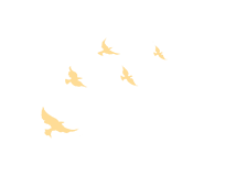 20240506101151_1407 20240506101151_1407