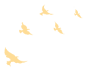 20240506101151_4264 20240506101151_4264