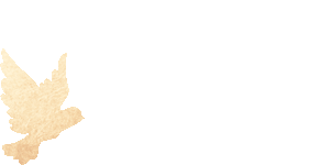 20250501094837_3123 20250501094837_3123