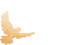 20250501094839_1433 20250501094839_1433
