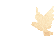 20250501094839_3016 20250501094839_3016