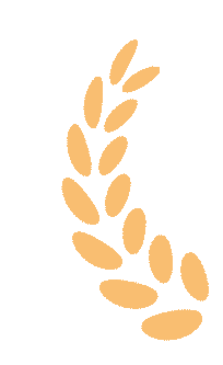 20250901101724_8158 20250901101724_8158