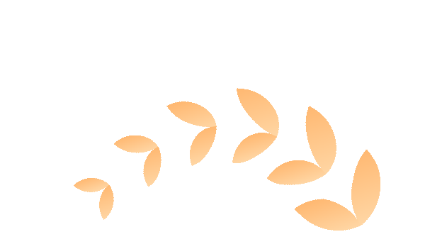 20251225150019_9288